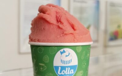 Prova a fare il sorbetto di fragole di Lolla a casa