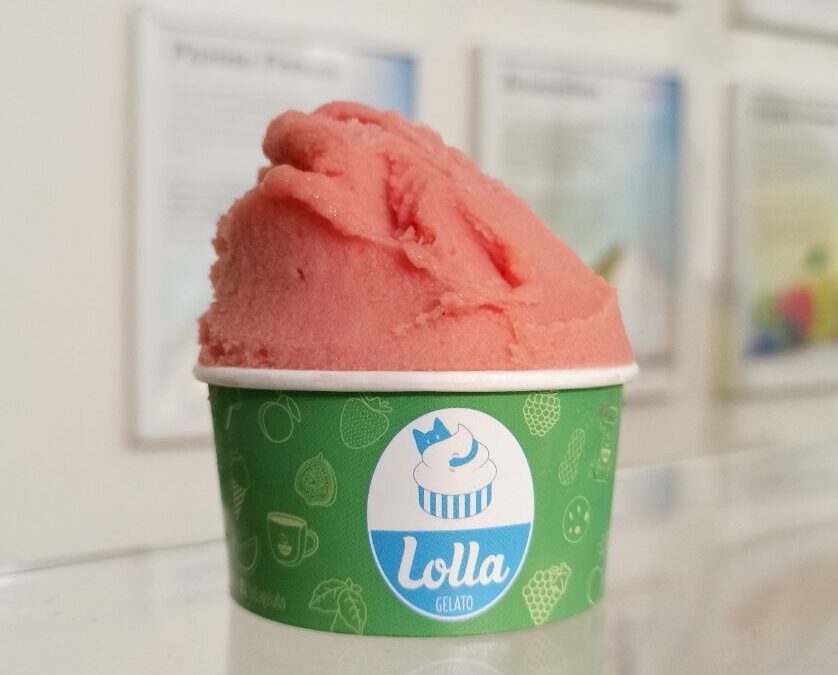 Prova a fare il sorbetto di fragole di Lolla a casa